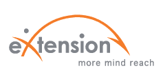 e-extenion logo